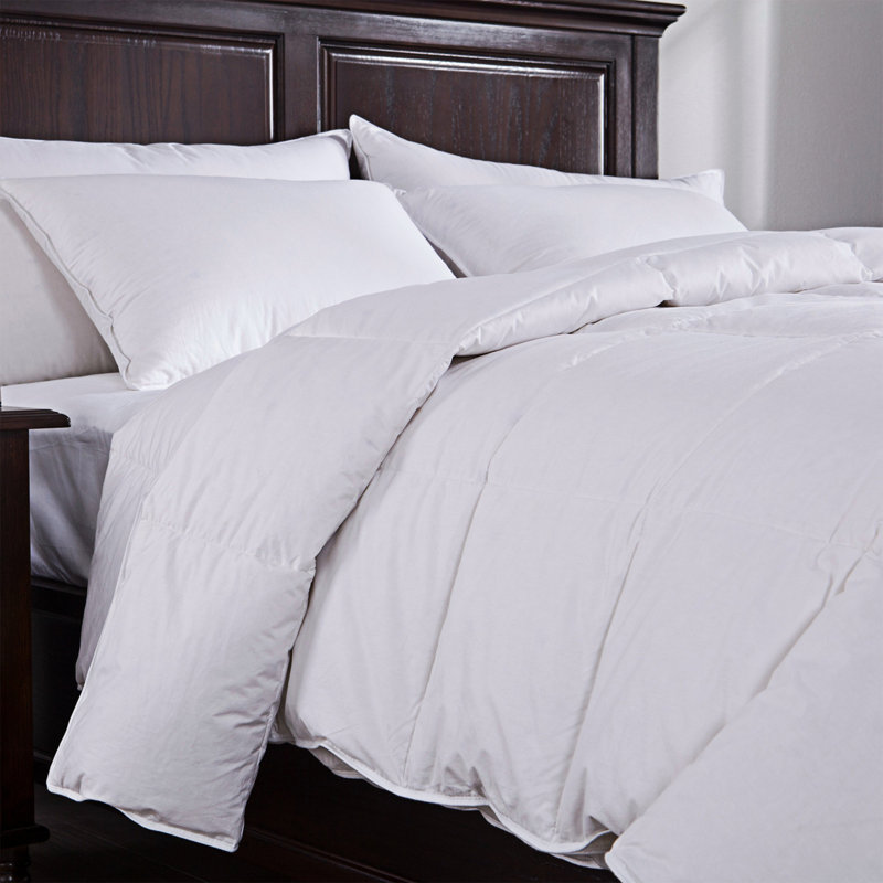 Puredown Lightweight Down Comforter & Reviews Wayfair